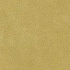 Brisa: Buckskin UBS [Call for Availability]
