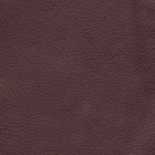 Brisa: Coffee Bean UCB [Call for Availability]