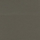 Brisa: Shiitake USH [Call for Availability]